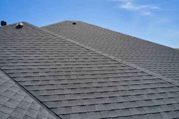 Best Roof Insulation Installation  in Leland, NC